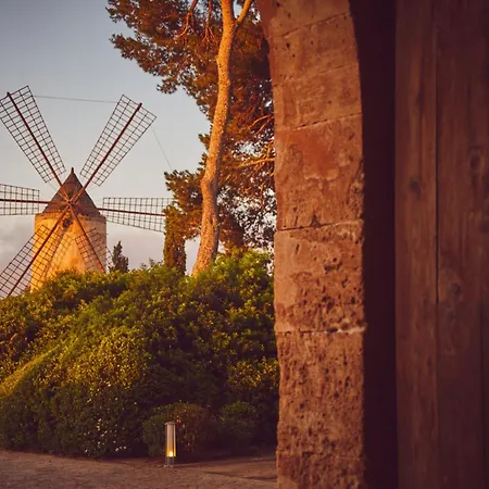 Zoetry Mallorca Wellness & (adults Only) 5* Llucmajor (Mallorca)