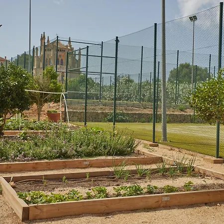 Zoetry Mallorca Wellness & (adults Only) 5* Llucmajor (Mallorca)